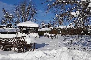 Verschneiter Wintergarten mit einem alten hölzernen Heuwagen vor blauem Himmel
